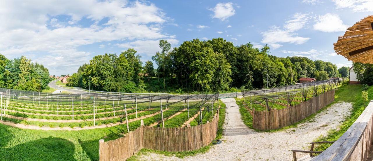 Apartma Zemljanka Ljutomer Buitenkant foto
